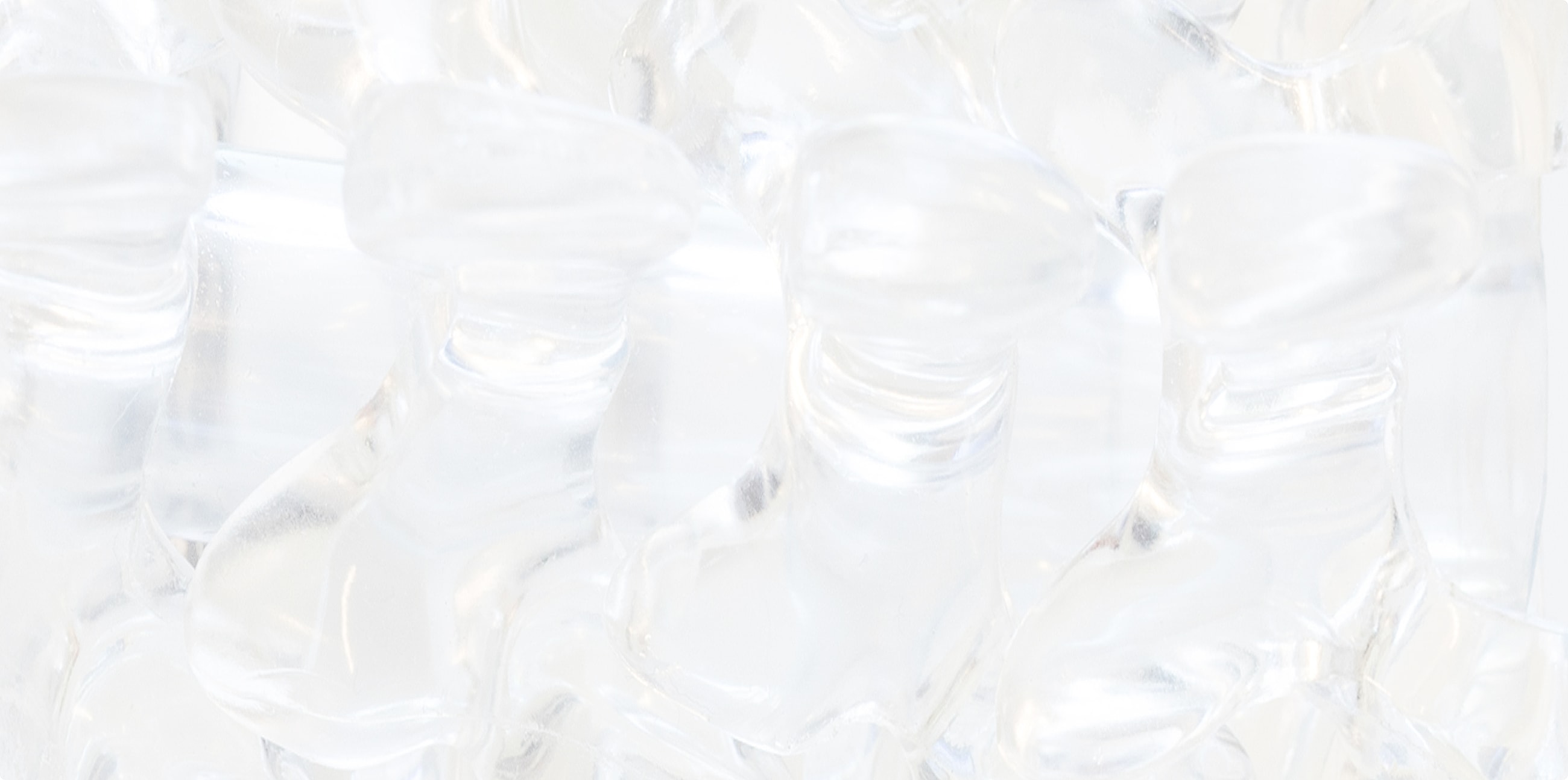 Clear model spine closeup