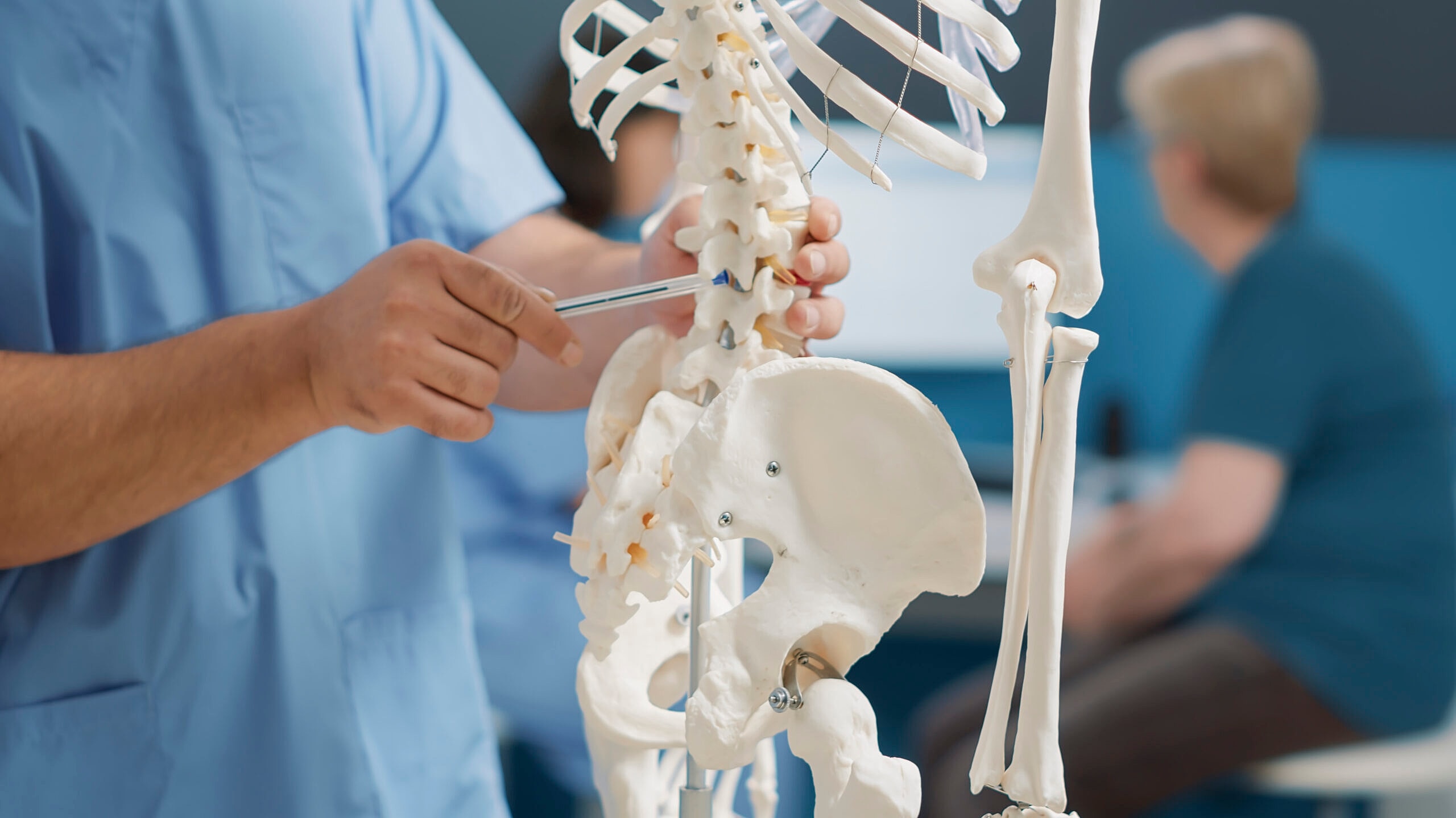 Spinal Fracture – Everything You Need to Know